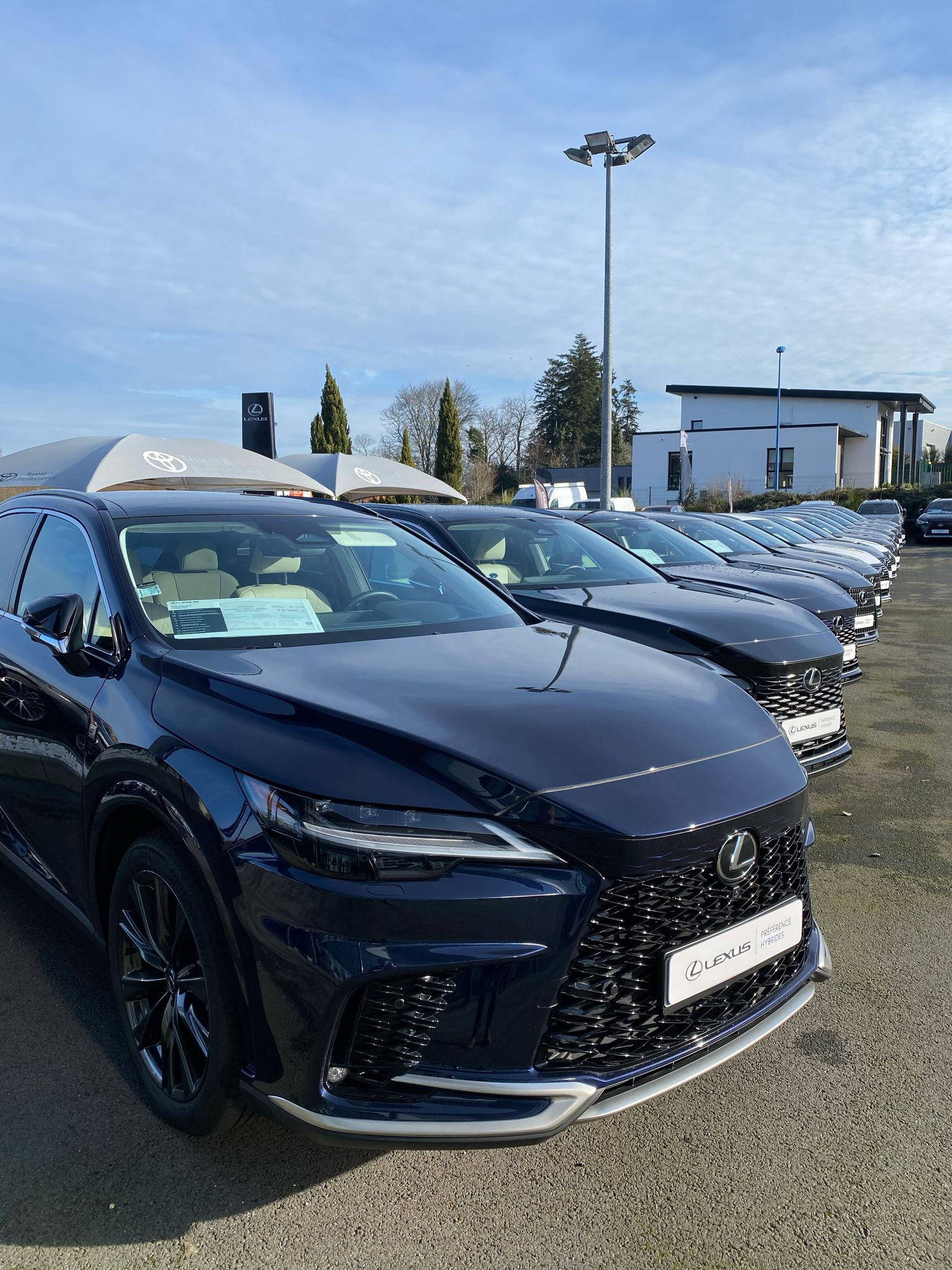 Foto 14 di Lexus Lorient- Cobredia