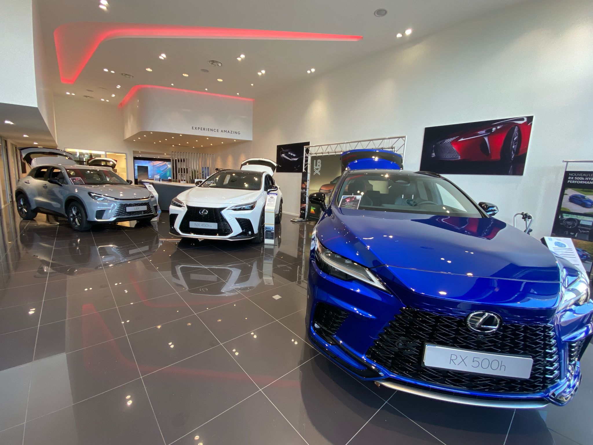 Foto 13 di Lexus Lorient- Cobredia